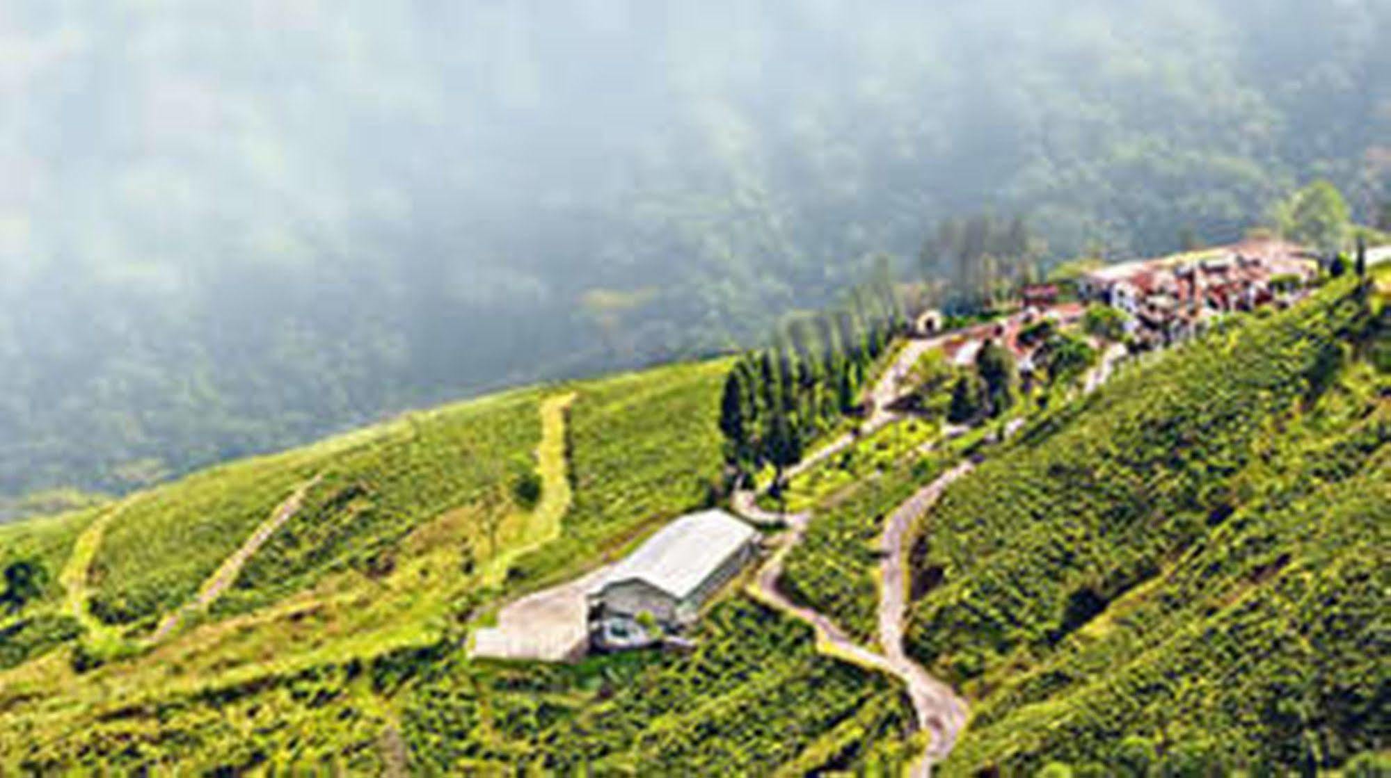 Central Nirvana Dárdžiling Exteriér fotografie